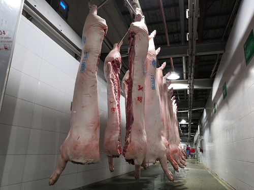 日屠宰加工生猪千余头 崇州大型生猪屠宰企业为猪肉产品稳产保供出力