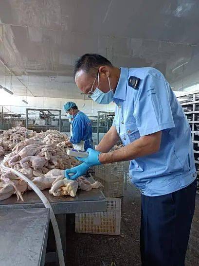 科技监管保障首都屠宰畜禽产品质量安全